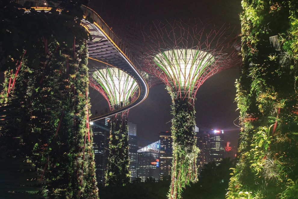 Illuminated Supertrees at Gardens by the Bay in Singapore at night
