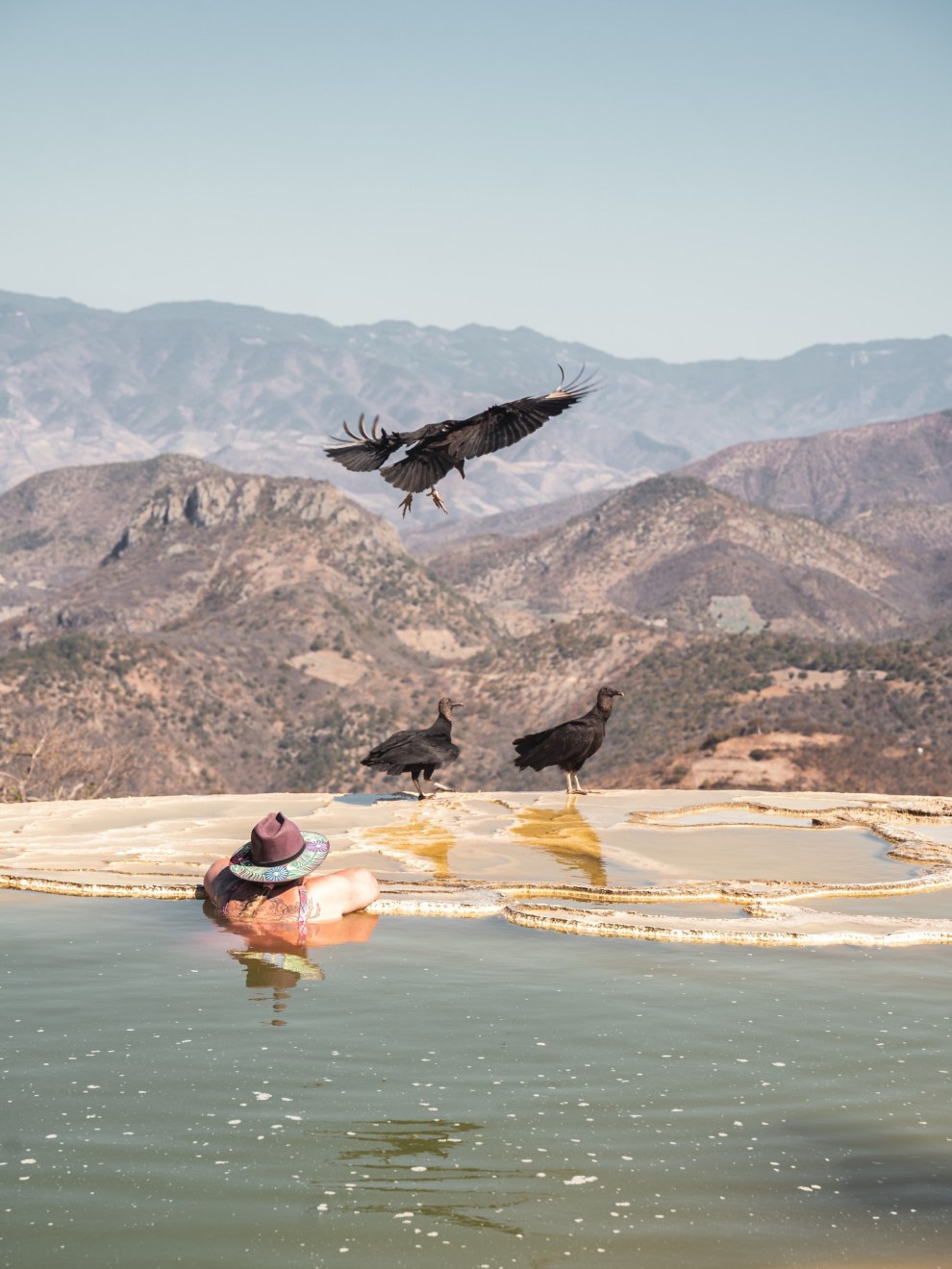 Person bathing in a mineral pool while vultures fly and perch nearby at Hierve el Agua, Mexico