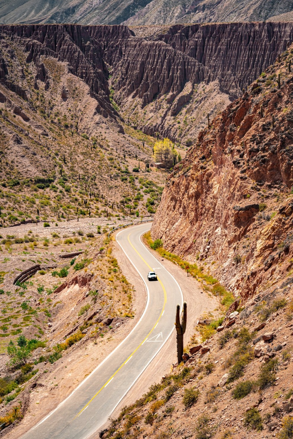 Winding road through a red rock canyon with a lone cactus and a passing car, Jujuy, Argentina