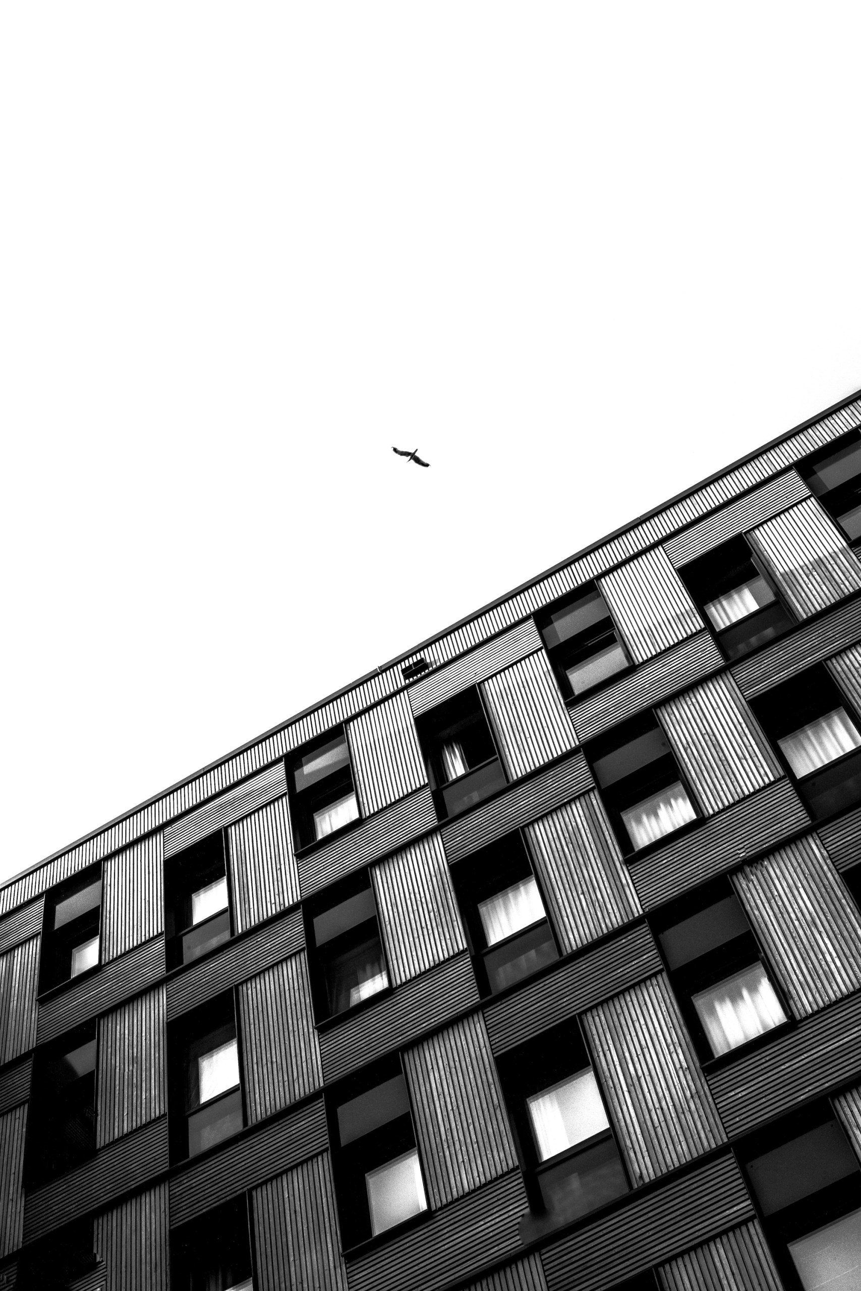 Black-and-white photo of a diagonal apartment block facade with a bird flying overhead in Hamburg-Wilhelmsburg