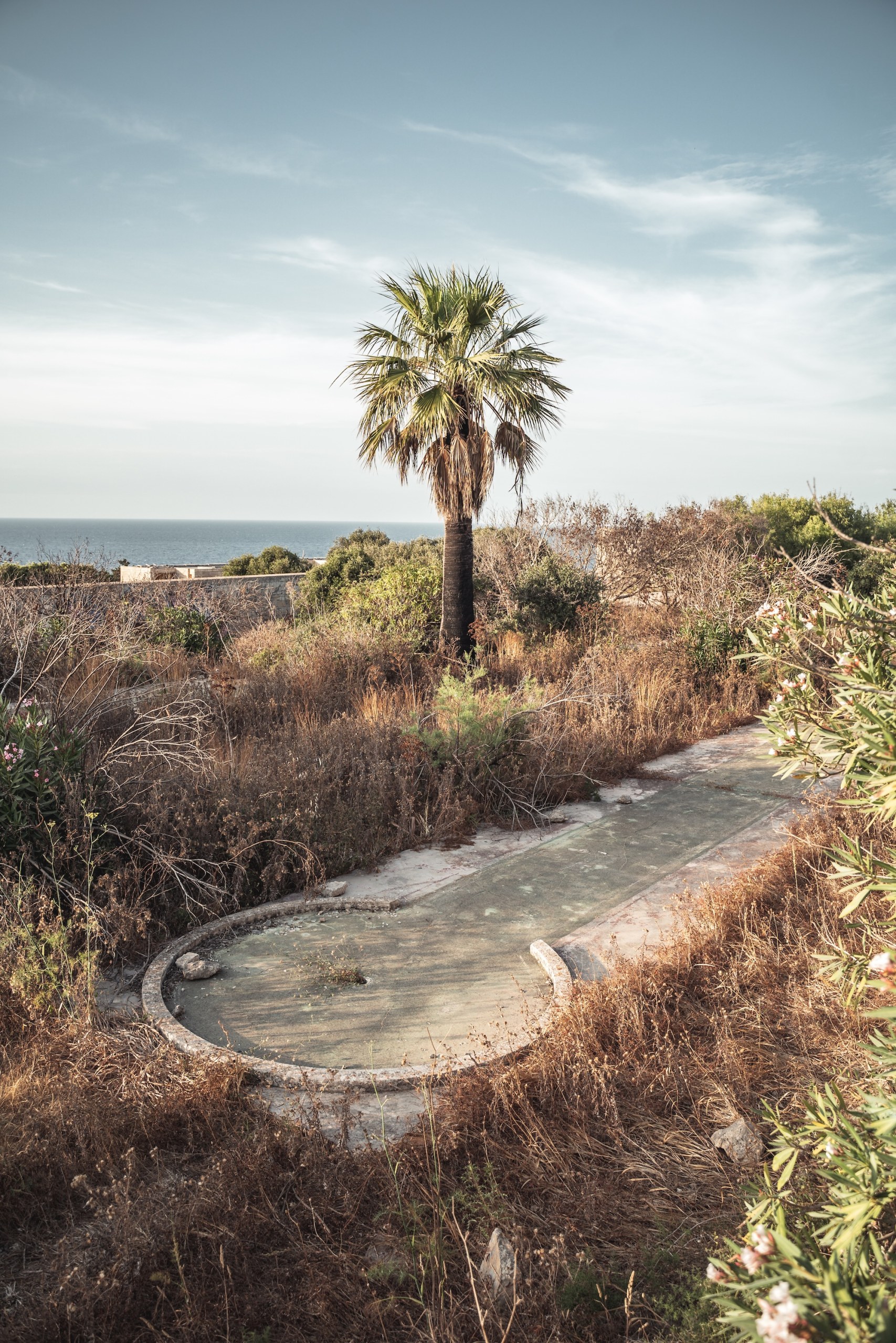 Overgrown, abandoned mini golf course beneath a palm tree near the sea