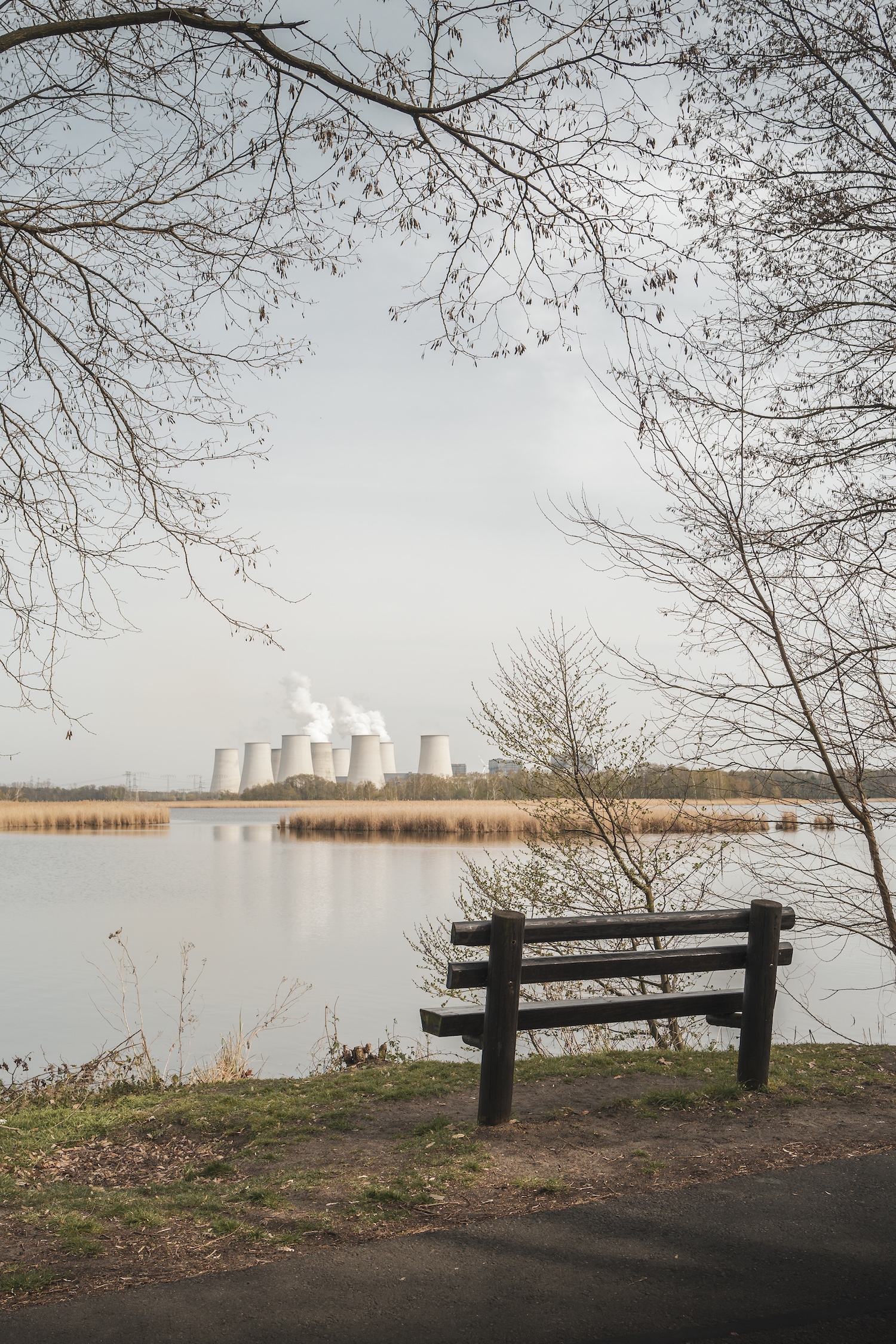 Bench by a lake with the cooling towers of a power plant on the horizon, Lusatia