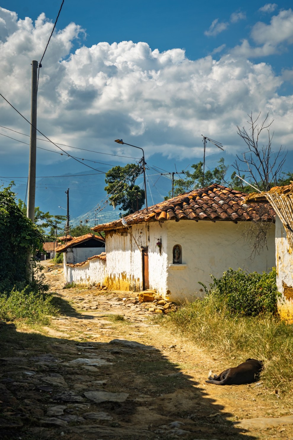 Dog sleeping on a sunlit dirt road beside a whitewashed house with a tiled roof in Barichara, Colombia