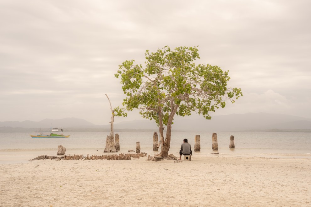 Man sitting beneath a lone tree among old wooden posts on a pale beach, Palawan, Philippines
