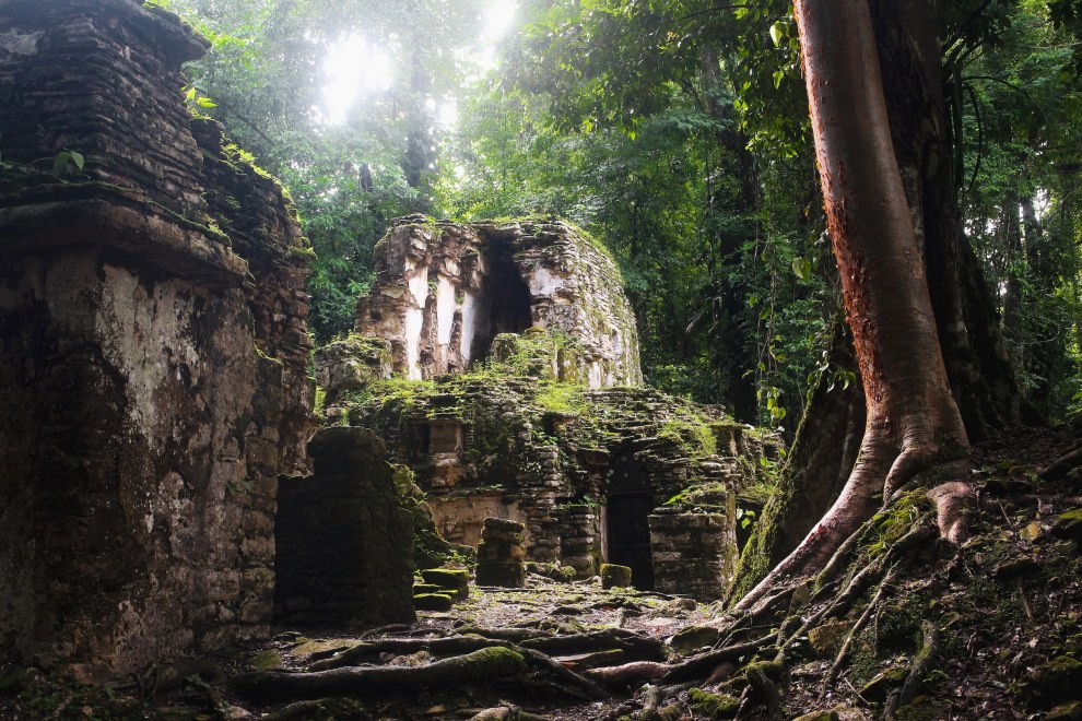 Temple ruin in the jungle, Yaxchilán, Mexico