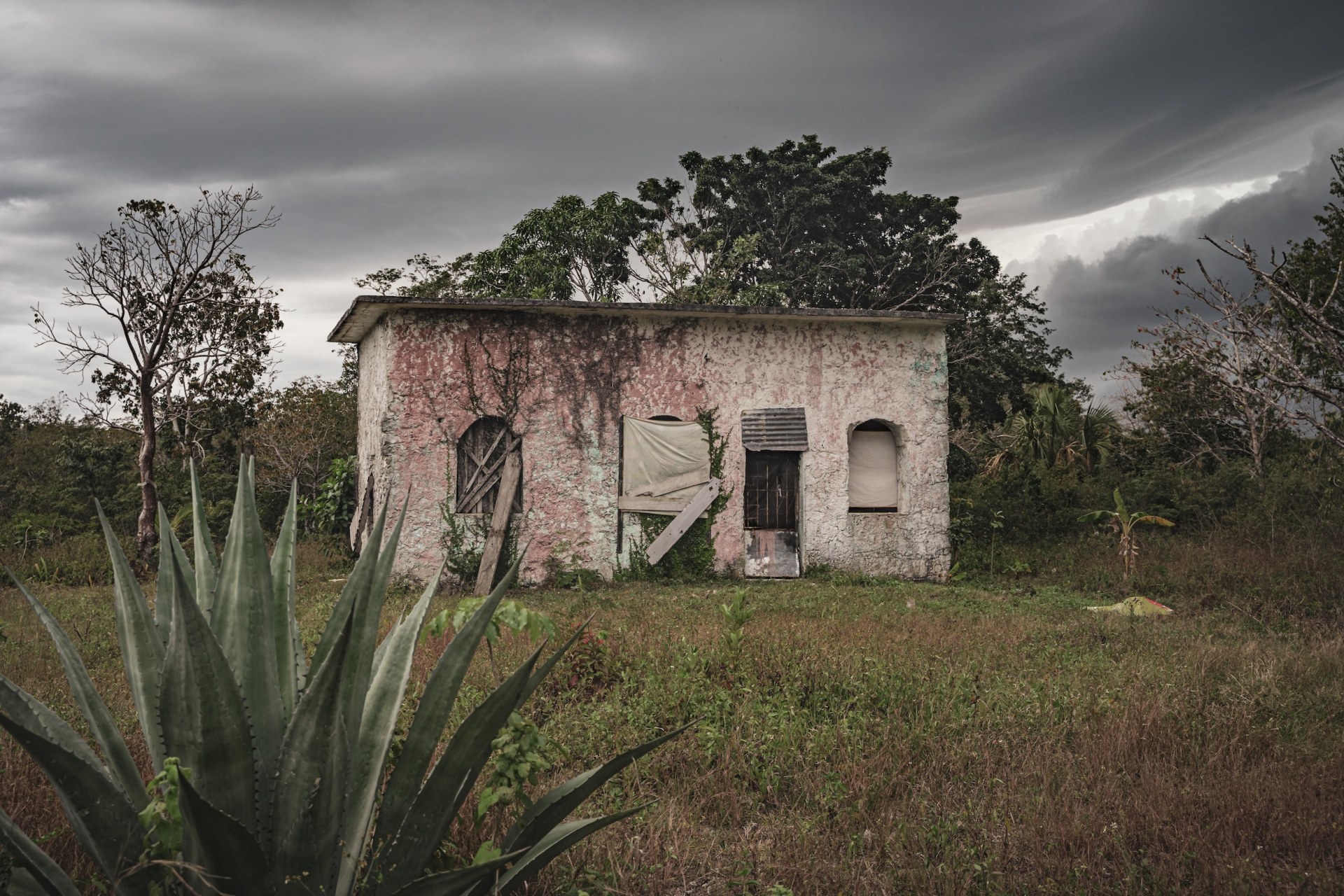 Abandoned small house behind agaves under a stormy sky, Cozumel, Mexico