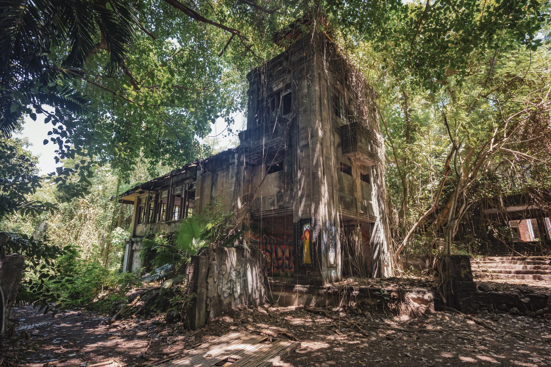 Ruined building engulfed by jungle trees, Taman Festival, Bali, Indonesia