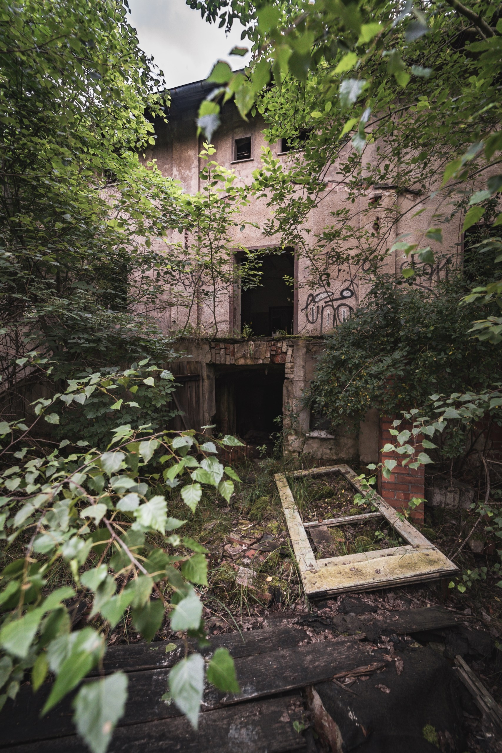 Overgrown ruin with plants growing over fallen window frames, Cottbus, Germany