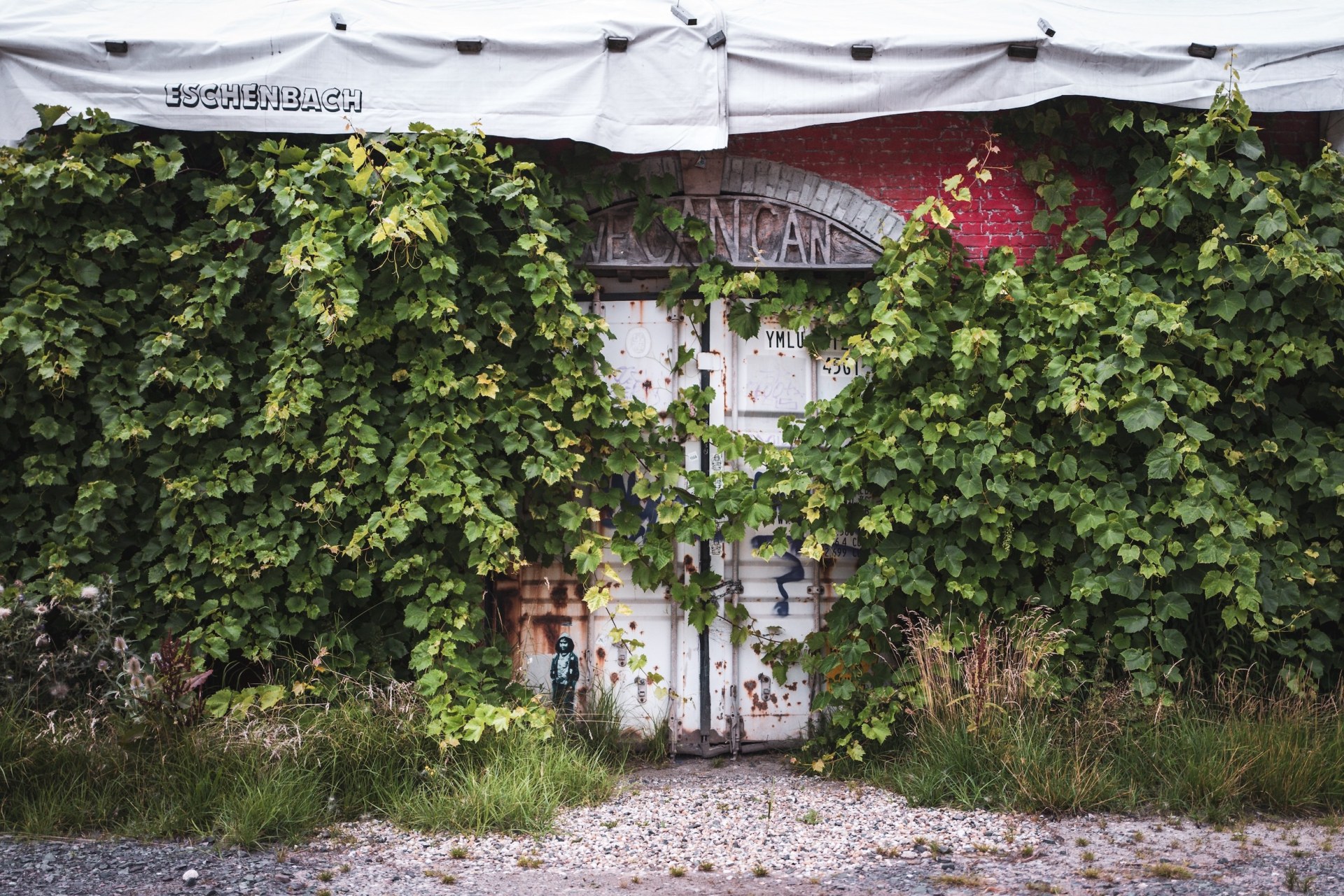Container entrance overgrown with grapevines beneath a tent roof at the deserted MS Dockville festival site, Hamburg-Wilhelmsburg, Germany, summer 2020