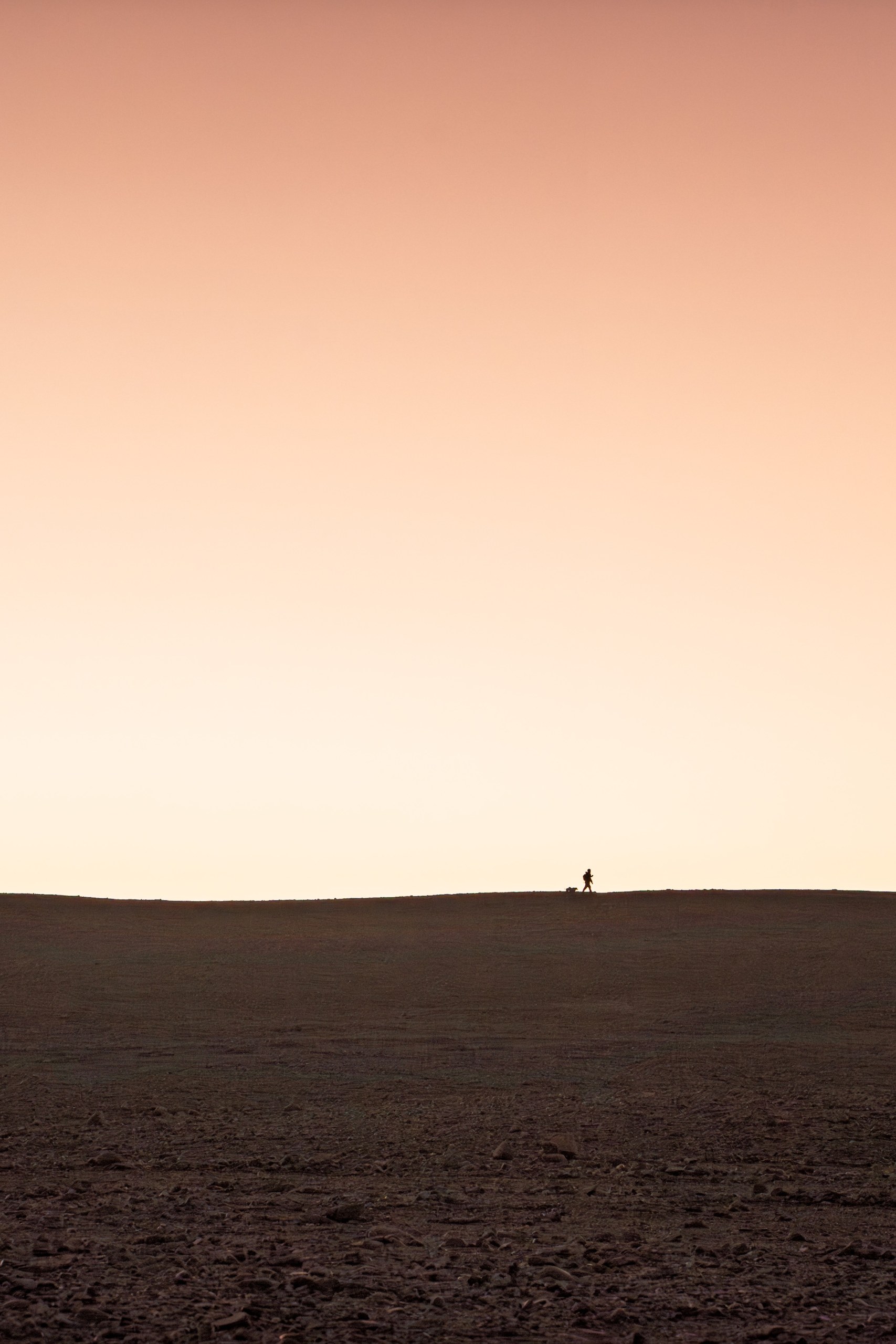 Lone figure with a dog walking along the horizon of a dark plain under a peach-coloured sky, San Pedro de Atacama, Chile